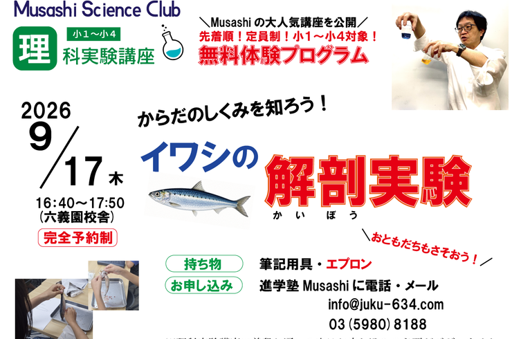 イワシの解剖実験
